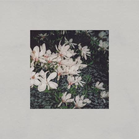 Oh, My. x Flitz&Suppe – The Mess We Made