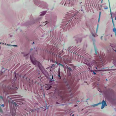 Soulone Beats – Sunday